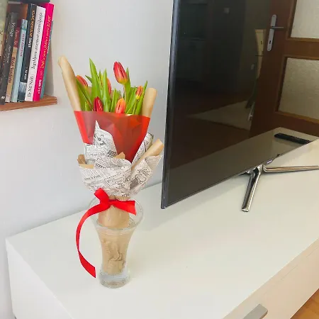 Stan Sa Divnim Pogledom, Garazom I Terasom Apartment *