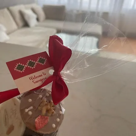 Stan Sa Divnim Pogledom, Garazom I Terasom Сараево